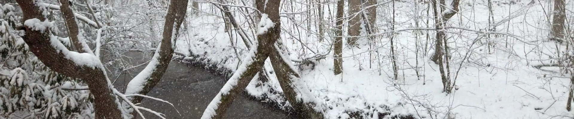 History Roads scenic image 1