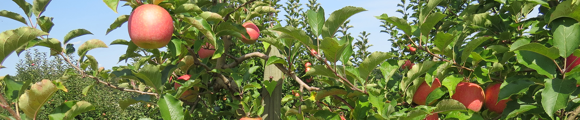 History Roads scenic image 3