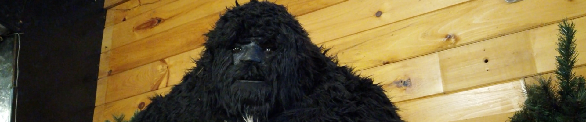 History Roads scenic image 4